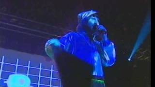 Super Furry Animals - Juxtaposed With U (T In The Park)