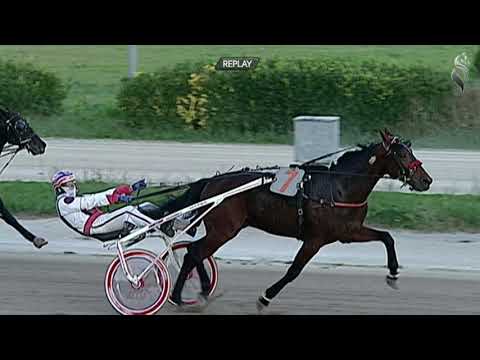 Aversa trotto 7 Novembre 2020 - 5° Corsa