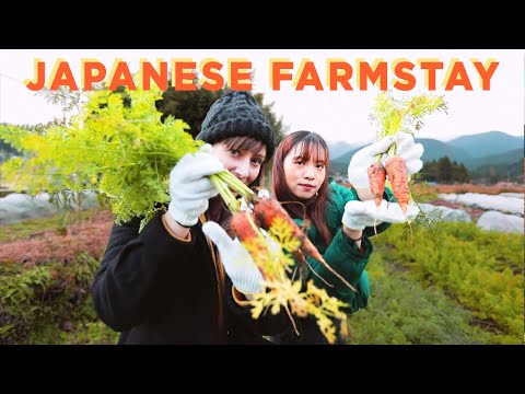 田舎の農場で暮らしてみた｜熊野 (We Tried Living On A Farm In The Japanese Countryside | Kumano)