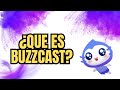 Que Es BUZZCAST Requisitos De BUZZCAST Los Pagos Y Como Funciona BUZZCAST