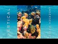 Vertical Undersea World Caribbean Sea A 1 Hour Undersea Film In 4K Recorded In 8K