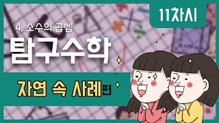 [초등수학] 5-2-4-11 자연 속의 소수의 곱셈