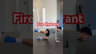 Fire Hydrant Hold