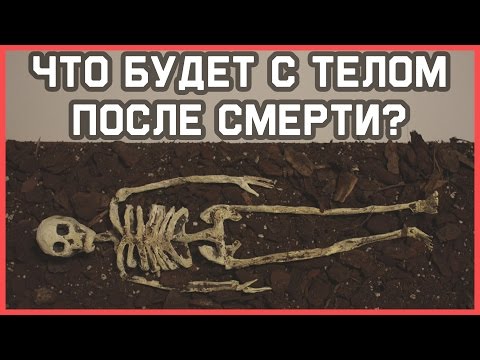 Edu: Что произойдет с телом после смерти?