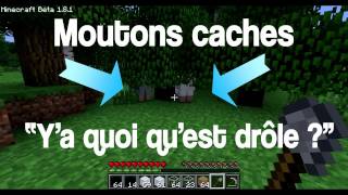 Vidéo commentée sur Minecraft en compagnie de NGZ Bah y a quoi qu est drôle 