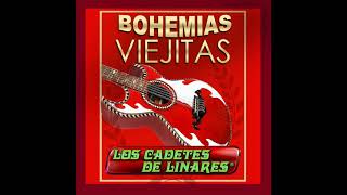 Sabor De Engaño - Los Cadetes de Linares