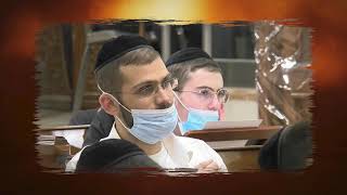 כבוד לא לוקחים