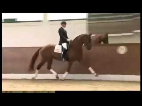 "Fleur de Lis", Staatsprämienanwärterin von Fidertanz