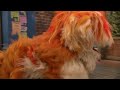 Sesame Street 4187 Frankly It S Becoming A Habitat 2009