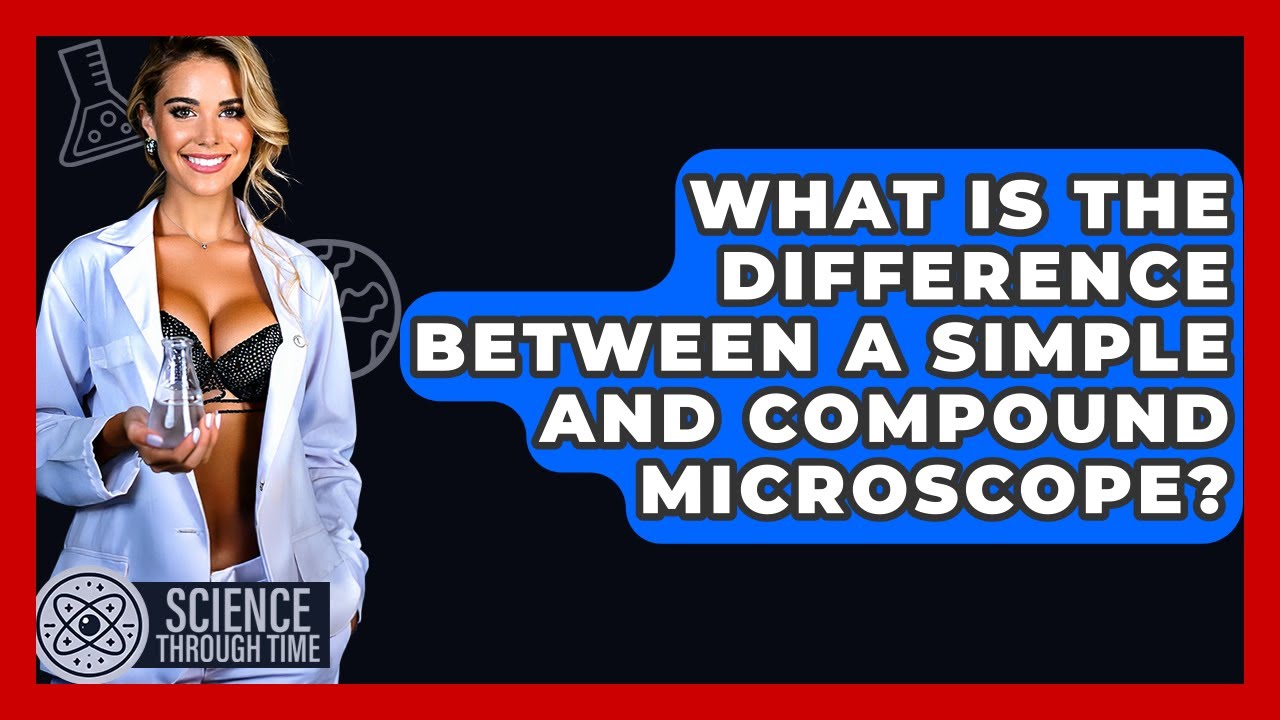 What Is The Difference Between A Simple And Compound Microscope? - Science Through Time