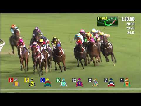 8/9/2021 (13) Piano Solo - Z Purton