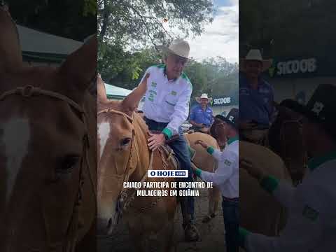 Caiado participa de encontro de muladeiros em Goiânia