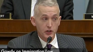 Trey Gowdy Explains Immigration Law Like a Boss!