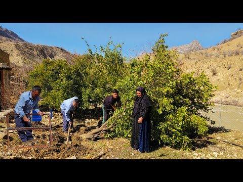 Nomadic Life: Nomadic Family Gardening🪾: The Spectacular Gardening Skills of Nomadic People🏔️