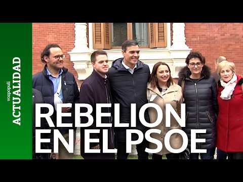 CAOS PSOE: Dimite todo PALENCIA contra SÁNCHEZ