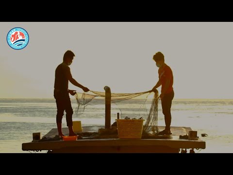 沙巴山打根深海海产