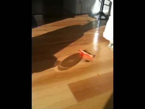 Balloon Popping By Itself