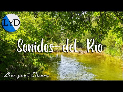 Sereno Rio Para Dormir - Sonido De Arroyos y Pajaros