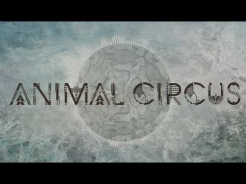 Animal Circus - Shadrack