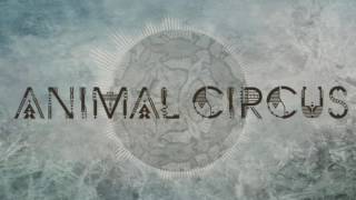 Animal Circus - Shadrack