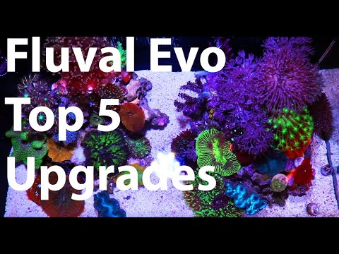Top-Upgrades für das Fluval Evo 13.5 Nano Reef Aquarium