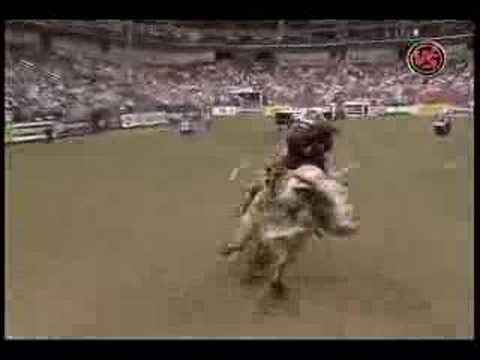 Shane Proctor Vs. Holy Moly