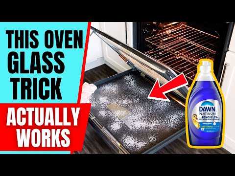 Quick & Simple Way to Clean Between Glass Oven Doors! ✨