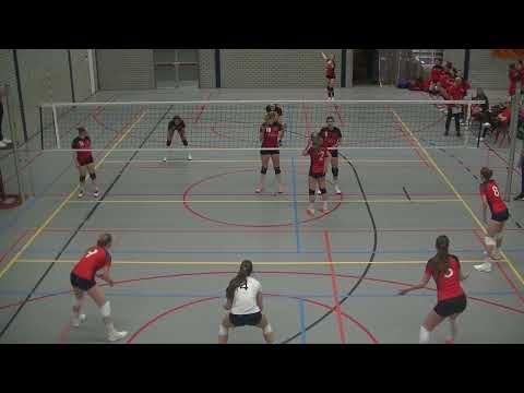 Taurus d1 - VCV  22-3-2025 video 1