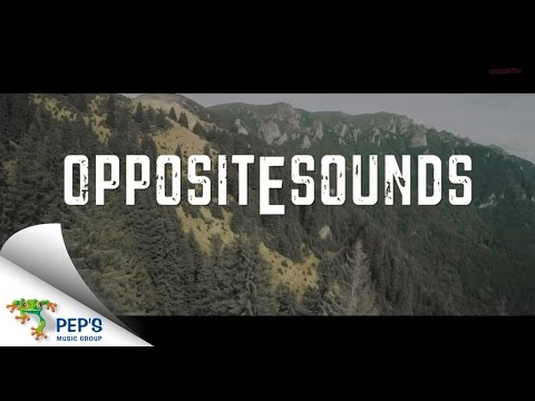 Opposite Sounds - Champion The Cause (Lyric Video)