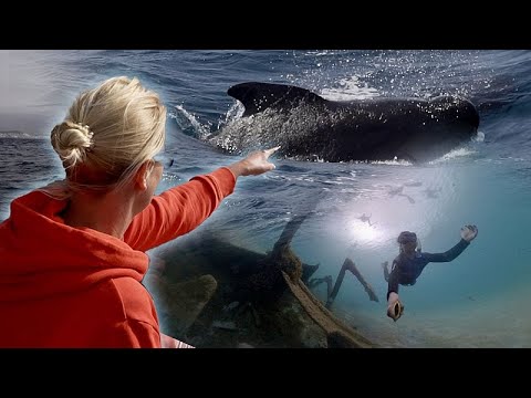 Fußabdrücke im Sand, nicht im Meer: Wie Atlantikinseln zeigen, dass Ökotourismus dem Ozean hilft