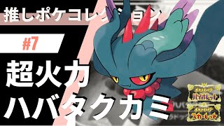 環境に刺さる超火力の出せる次世代形ハバタクカミが使いやすい！推しポケコレクション #7 ハバタクカミ【ポケモンSV】【バトンドラパルト】【スカーレット・バイオレット】【色違いポケモン】
