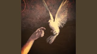 Cover art for dont let go