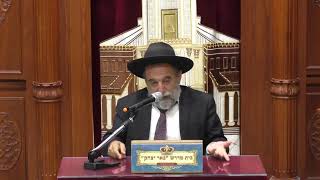 שידור חי -הלכה | הרב יהודה נקי | פרשת השבוע | כו' תמוז -תשפ"ד