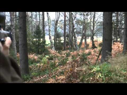 Jagd auf Rotwild - faszinierende Pirsch / Abschüsse - Teil 1