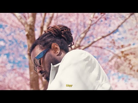 Ombre Zion - Last Forever (Visualiser)