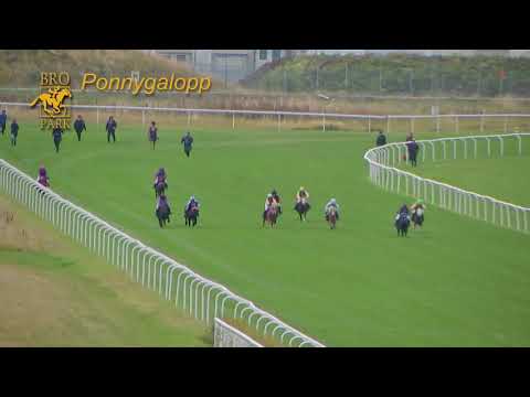 Lopp 2 30 Augusti 2020