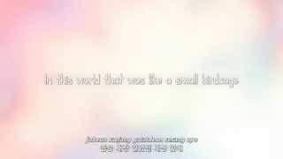 Amber- Beautiful lyrics [Eng. | Rom. | Han.]