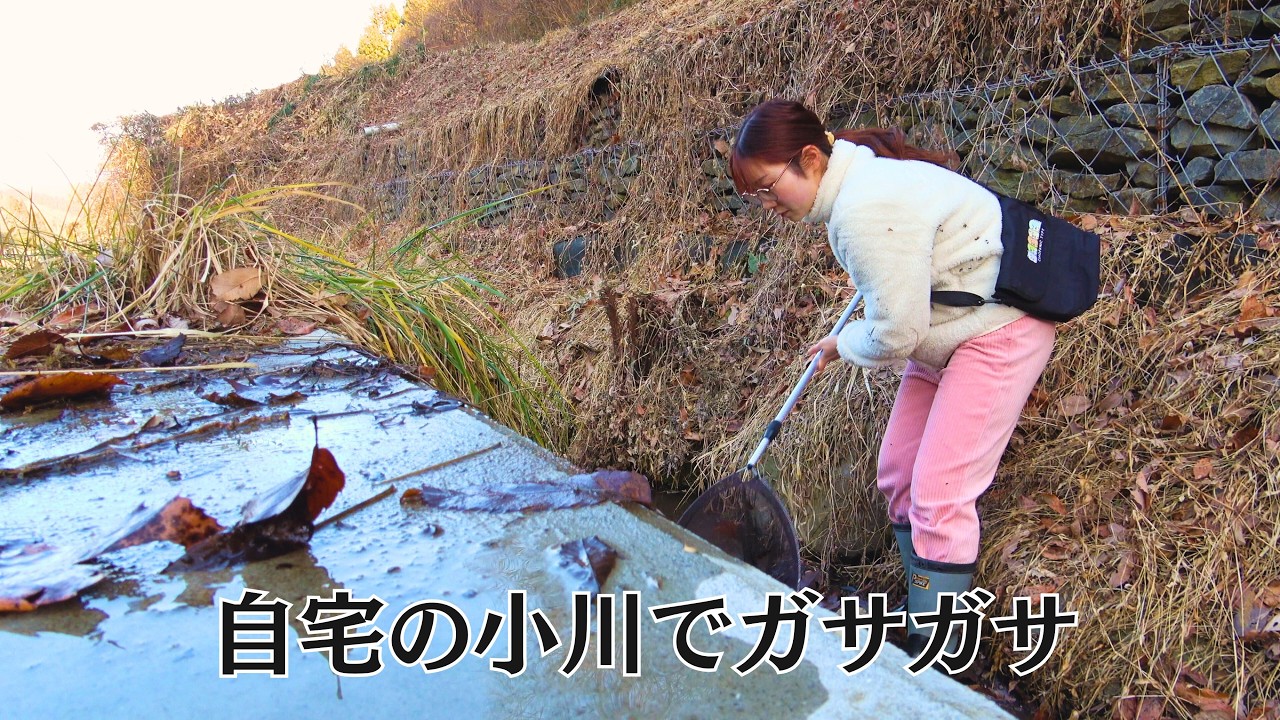 自宅の小川で“正体不明のヤゴ”が出た…