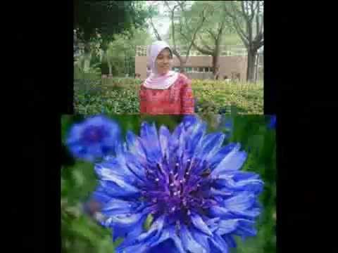 SELALU RINDU, EVI TAMALA