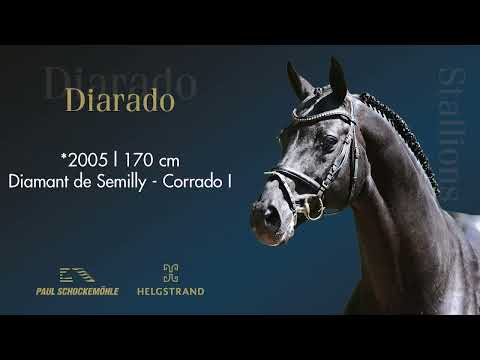 Diarado - sire of Don Diamond