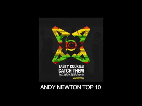 Tasty Cookies   Catch them Noisy Bears REMIX