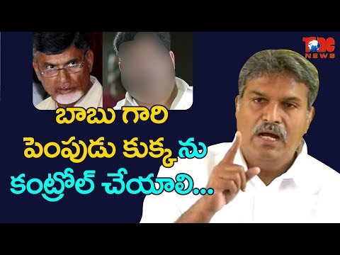 Tweet war between TDP MP Kesineni Nani and TDP MLC Buddha Venkanna | NewsOne Telugu Video