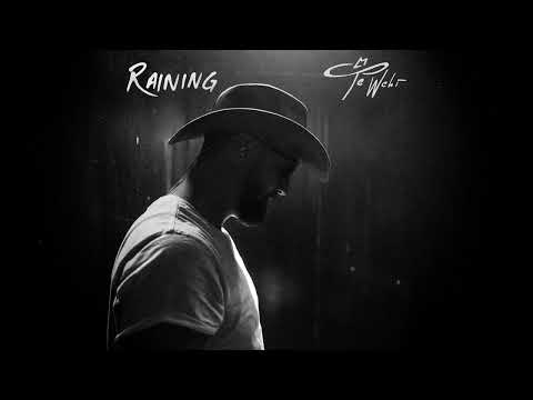 Te Wehi - Raining (Audio)