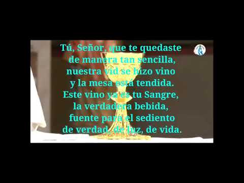 Ni El Pan Es Pan video
