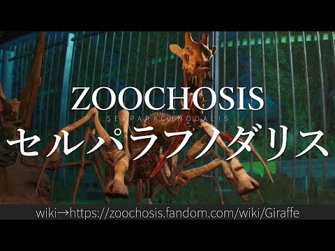 Zyzomys pedunculatus