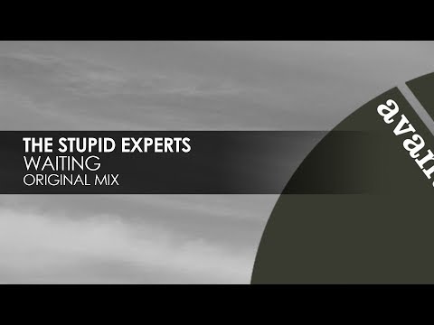 The Stupid Experts - Waiting [Avanti]