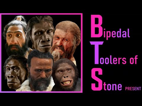 PREHISTORY song by Mr. Nicky