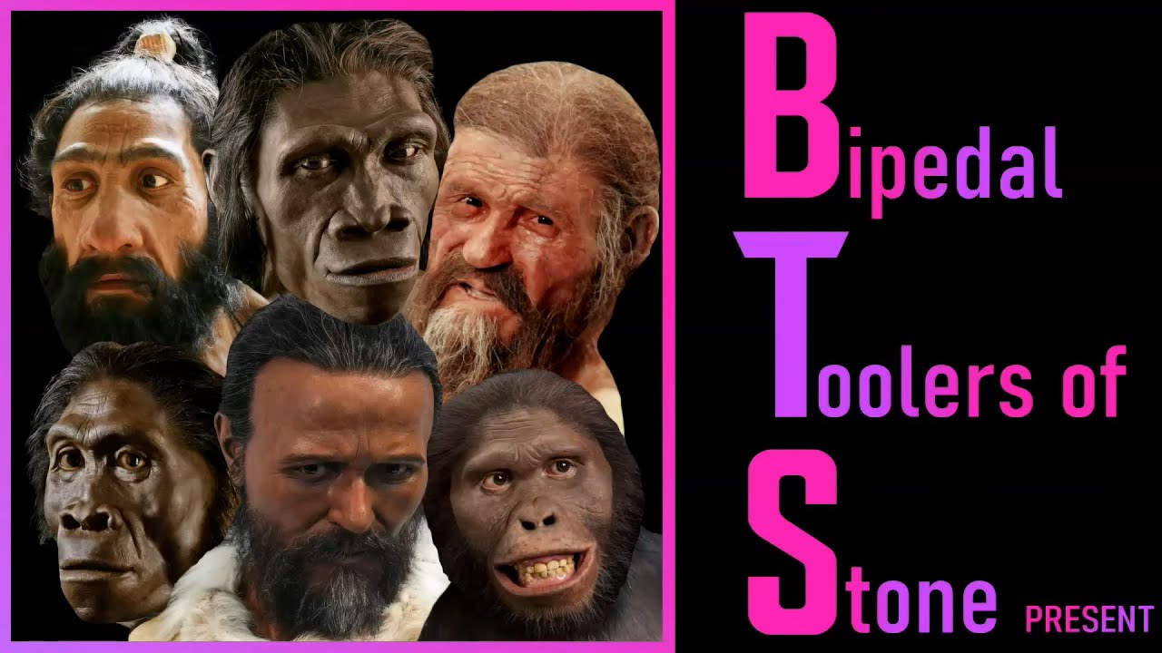 PREHISTORY song by Mr. Nicky