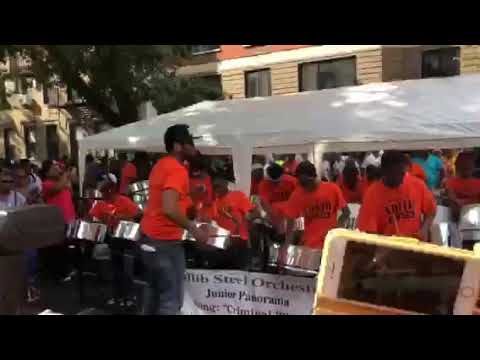 ADLIB Junior Panorama - Criminal Wine