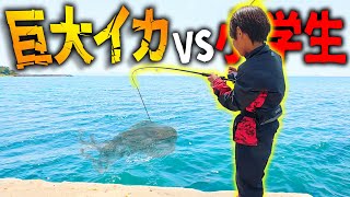 【エギング】巨大イカVS小学生　（私は手伝いません）